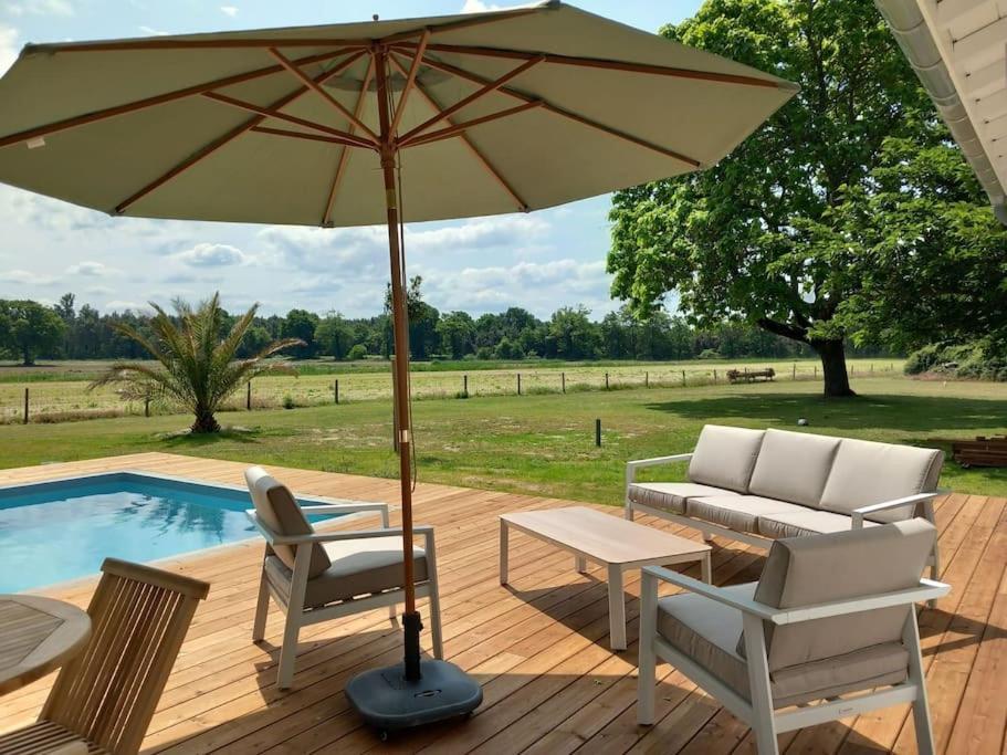 Maison Neuve Avec Piscine Chauffee, 4 Kms De Contis Plage Сен-Жюльен-ан-Борн Экстерьер фото