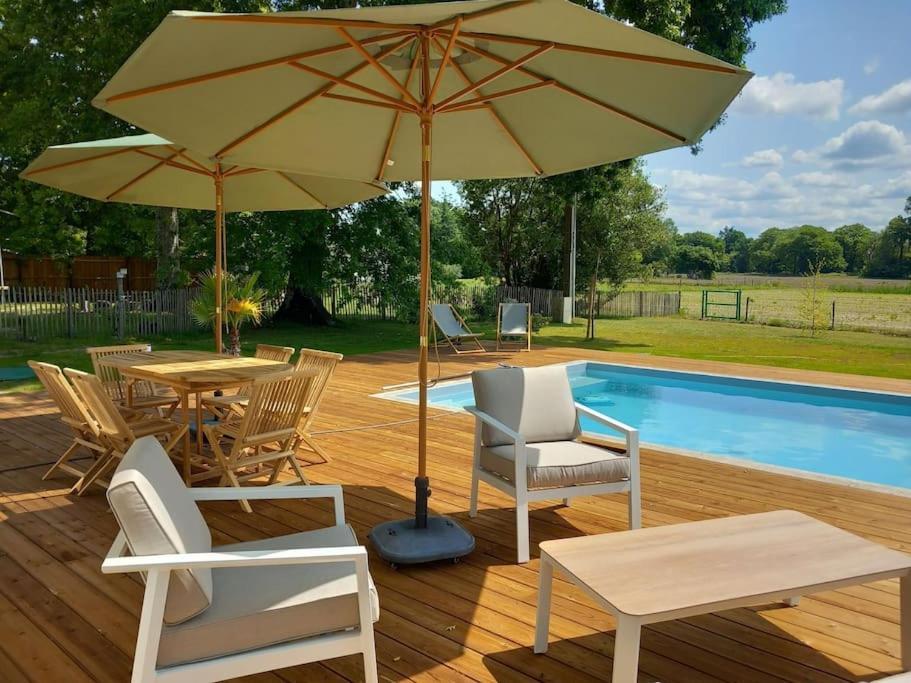 Maison Neuve Avec Piscine Chauffee, 4 Kms De Contis Plage Сен-Жюльен-ан-Борн Экстерьер фото